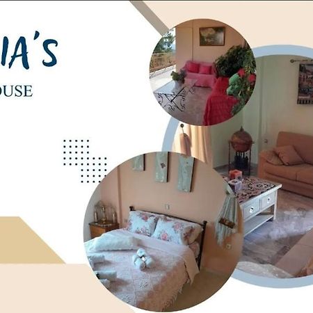 Georgia'S Village House Kondostavlos エクステリア 写真
