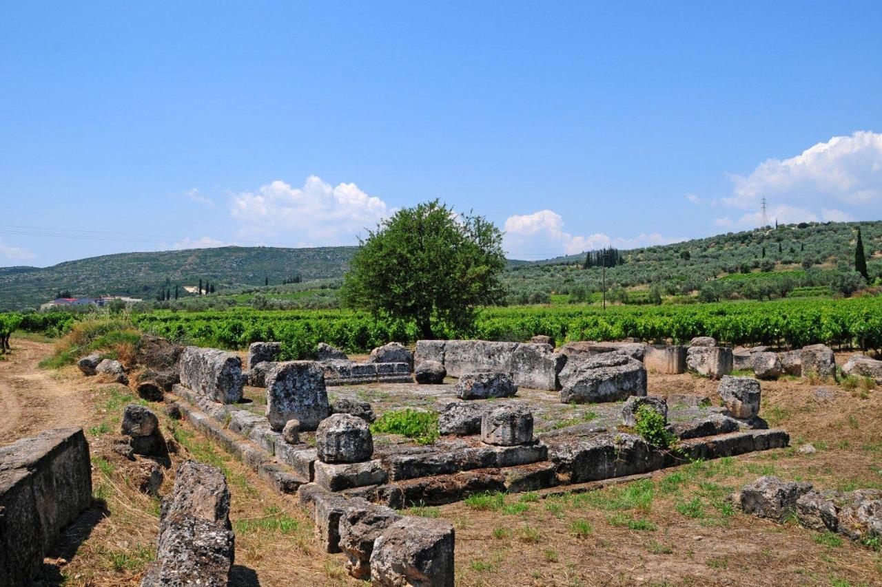 Georgia'S Village House Kondostavlos エクステリア 写真
