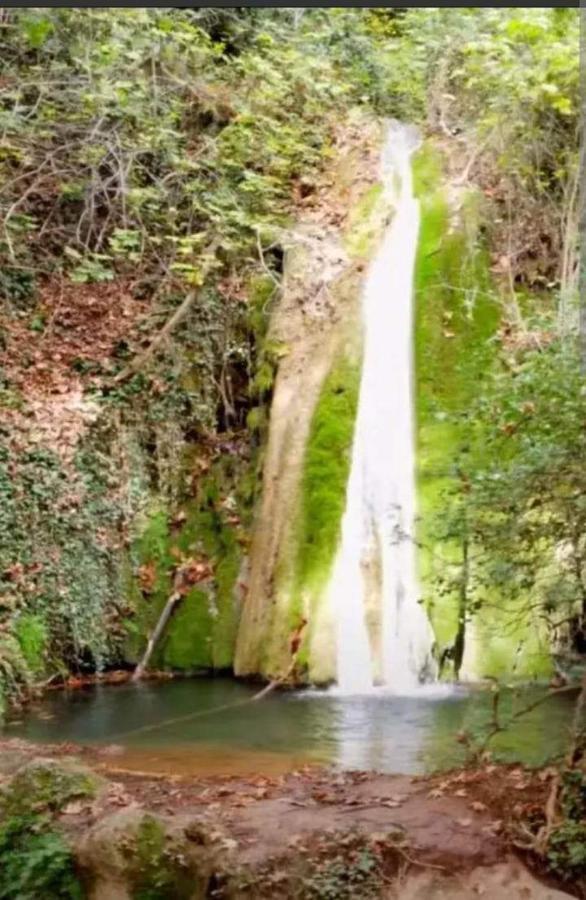 Georgia'S Village House Kondostavlos エクステリア 写真