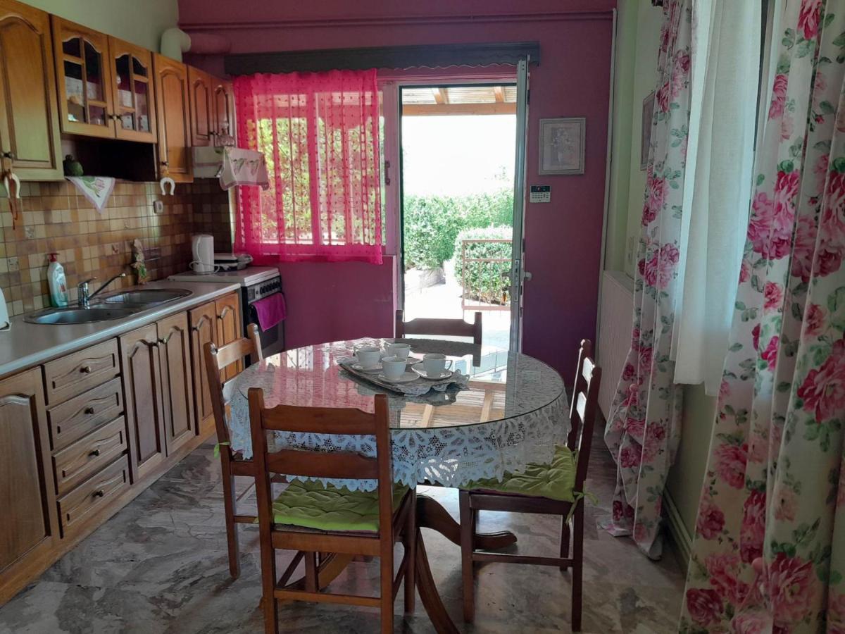 Georgia'S Village House Kondostavlos エクステリア 写真